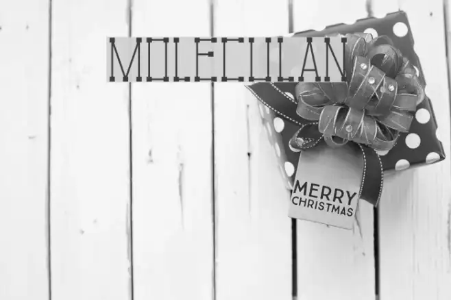 Moleculan Example 3