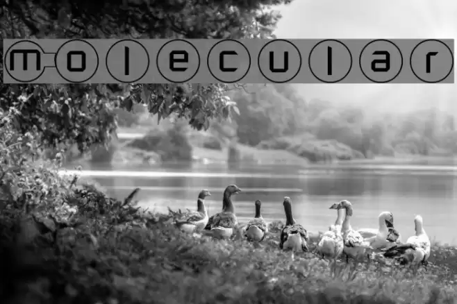 Molecular Font examples