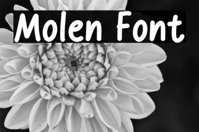 Molen Example 1