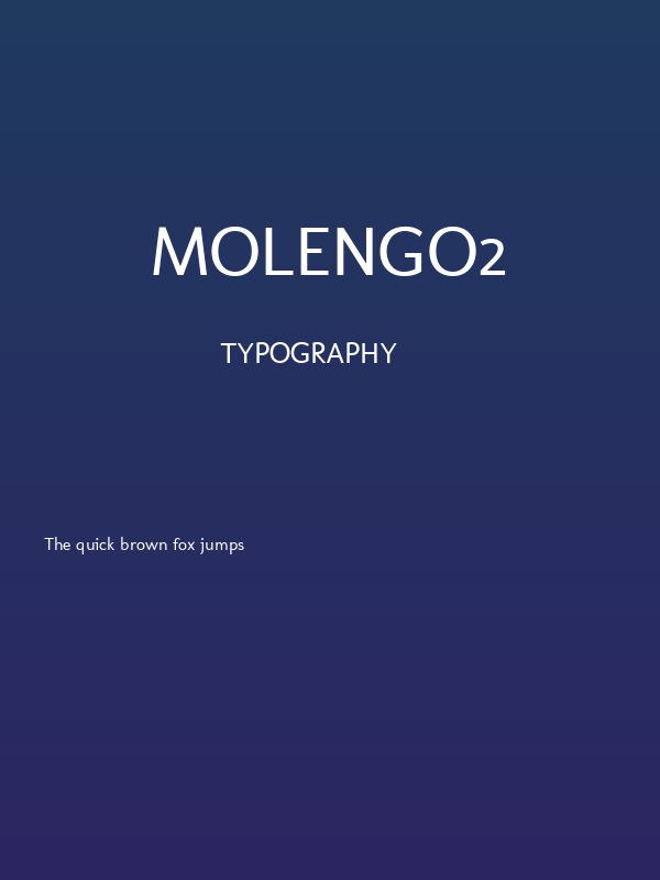 Molengo2 Poster