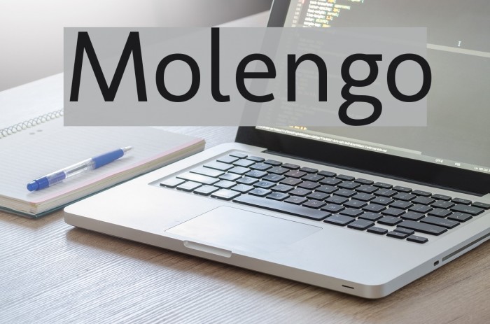 Molengo Font examples