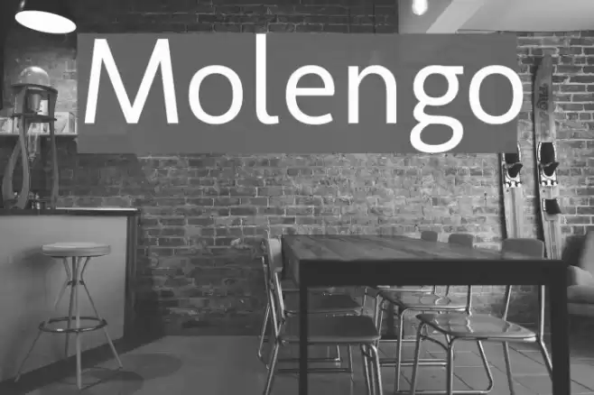 Molengo Font examples
