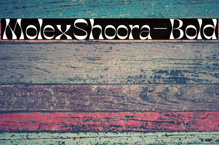 MolexShoora-Bold Example 1