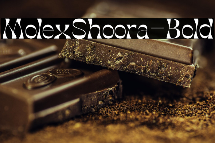 MolexShoora-Bold Example 2