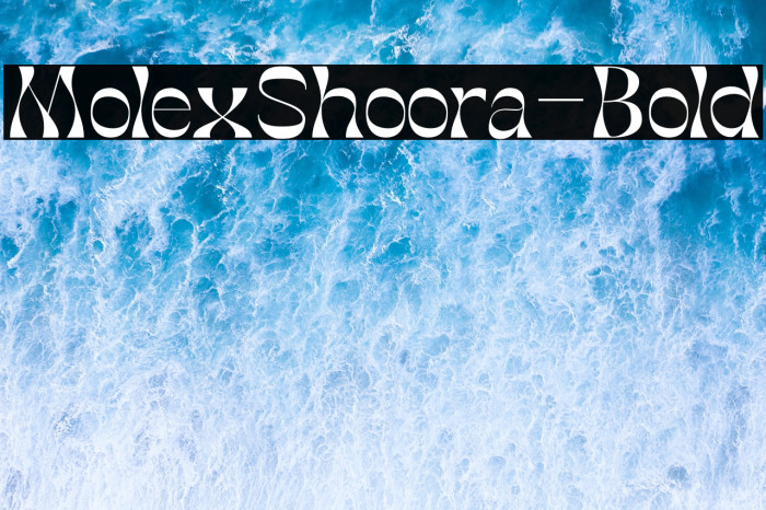MolexShoora-Bold Example 3