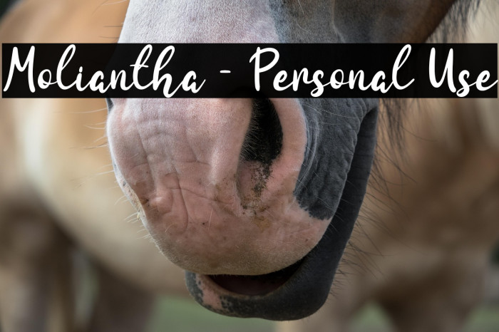 Moliantha - Personal Use Example 1