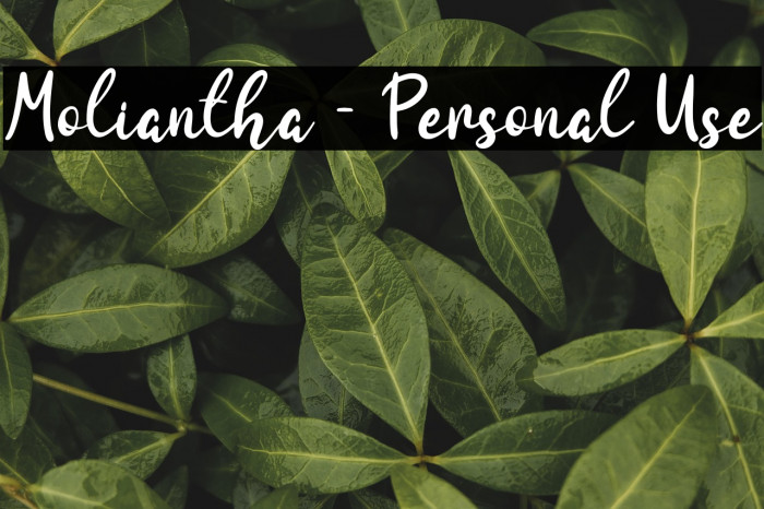 Moliantha - Personal Use Example 2