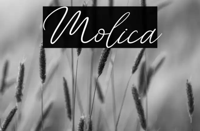 Molica Font examples