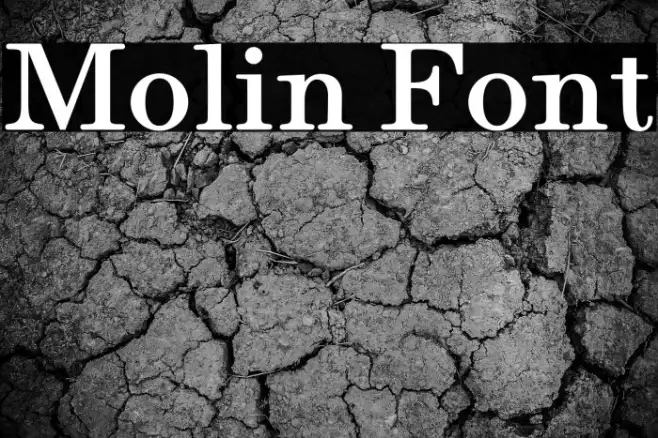 Molin Example 1