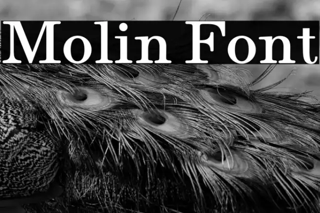 Molin Example 2