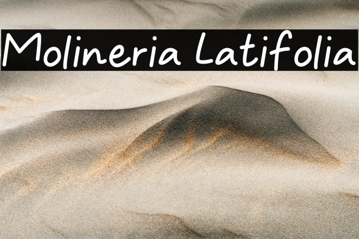 Molineria Latifolia Example 2