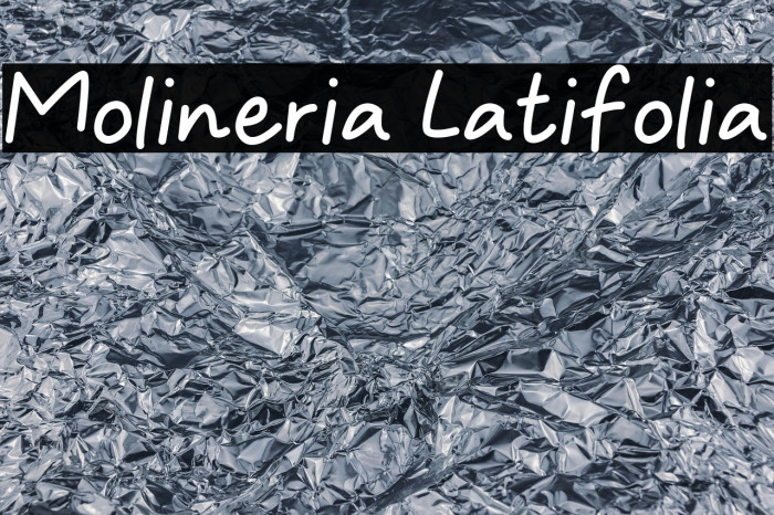 Molineria Latifolia Example 3