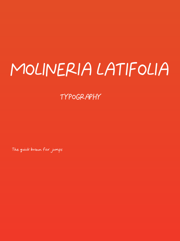Molineria Latifolia Poster