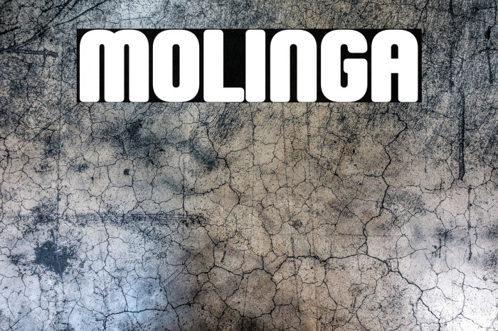 Molinga Example 1