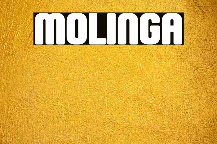 Molinga Example 2