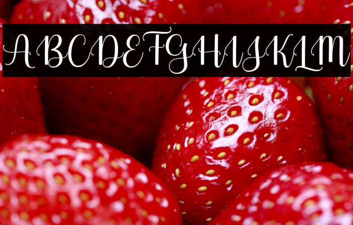 MolistaScript Example 1