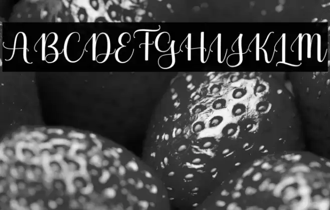 MolistaScript Font examples