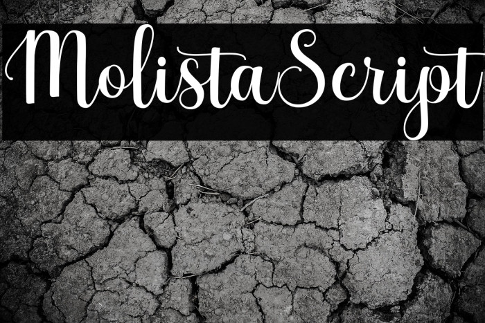 MolistaScript Example 3