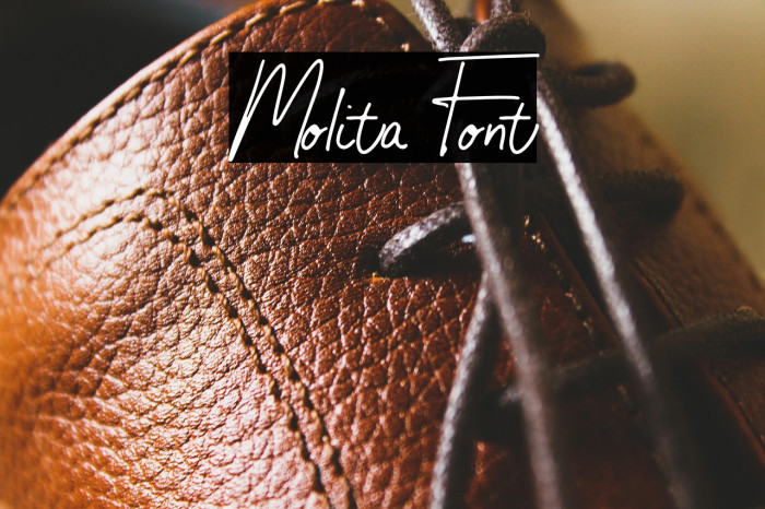 Molita Font Example 2