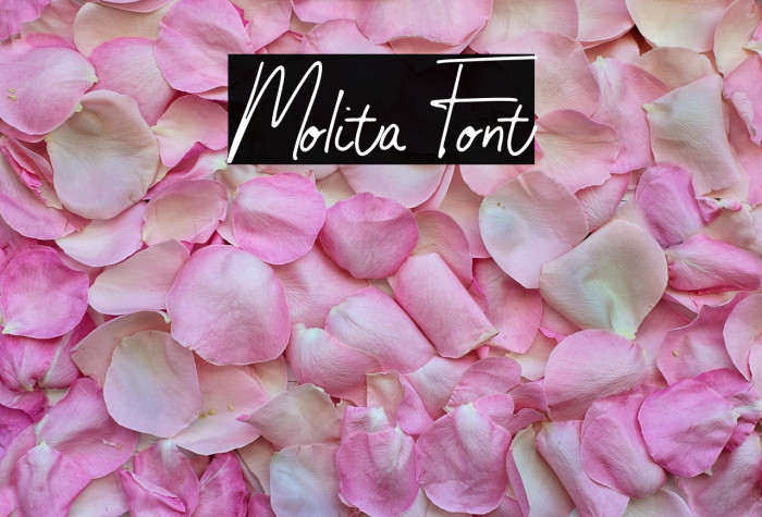 Molita Font Example 3
