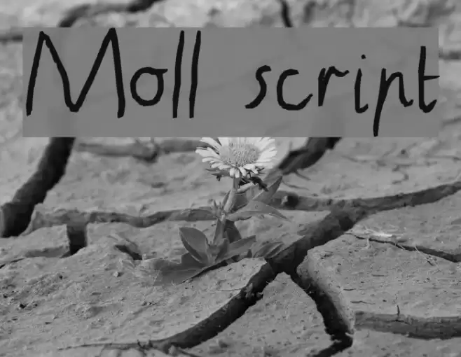 Moll script Fonte examples