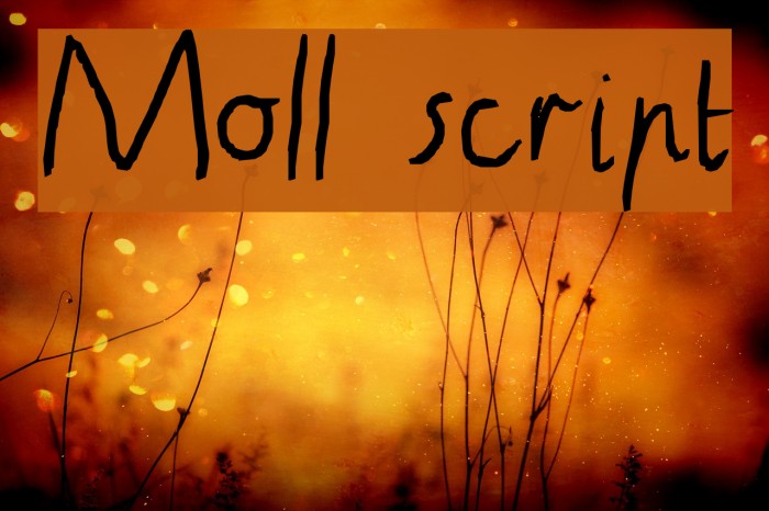 Moll script Font examples
