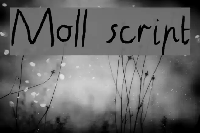 Moll script Fonte examples