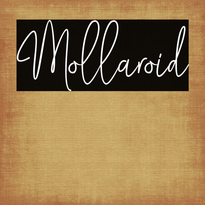 Mollaroid Example 1
