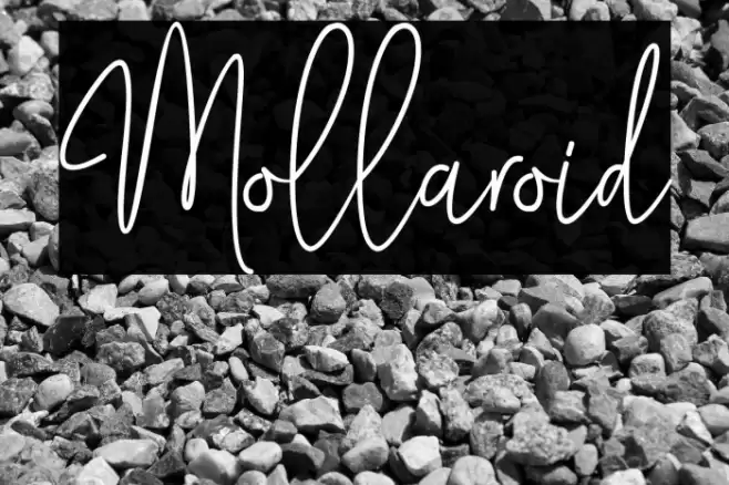Mollaroid Font examples