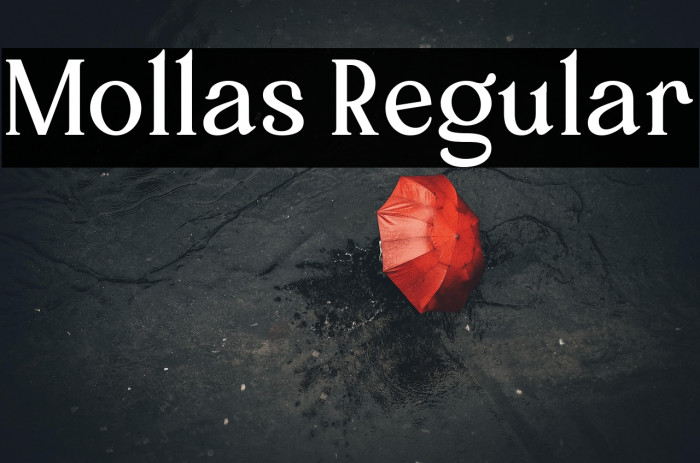 Mollas Regular Example 1