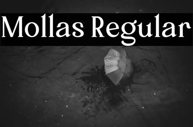 Mollas Regular Font examples