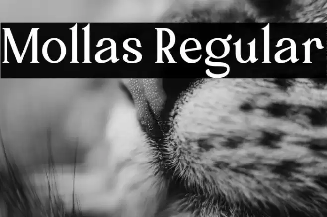 Mollas Regular Font examples