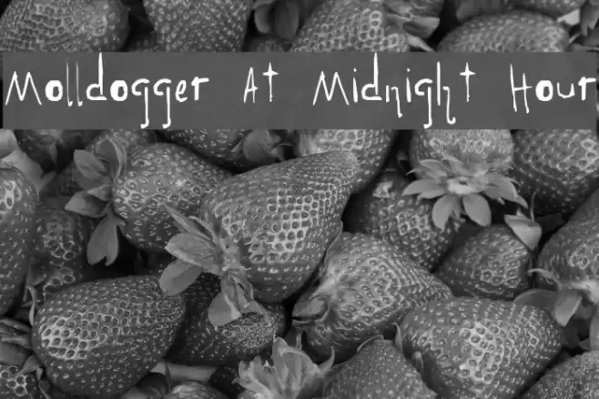 Molldogger At Midnight Hour Font examples