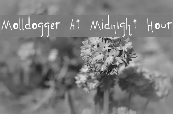 Molldogger At Midnight Hour Font examples