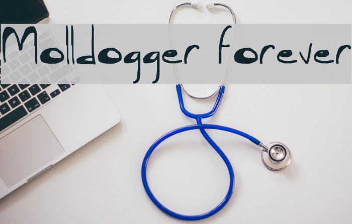 Molldogger Forever Font examples