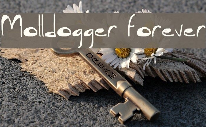 Molldogger Forever Font examples