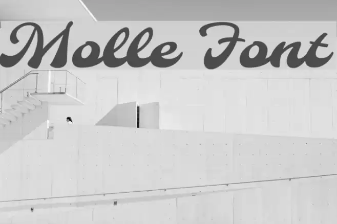 Molle フォント examples