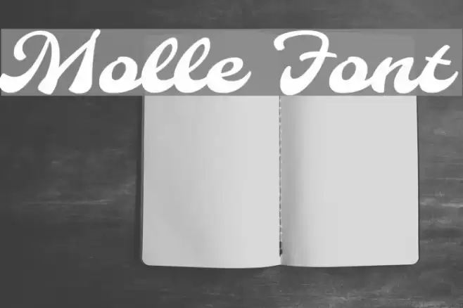 Molle フォント examples