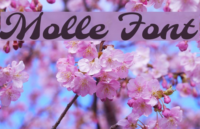 Molle Font examples