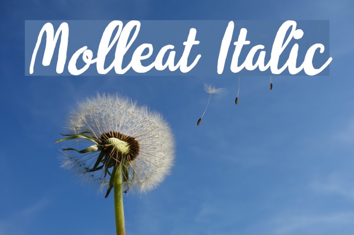 Molleat Italic Font examples