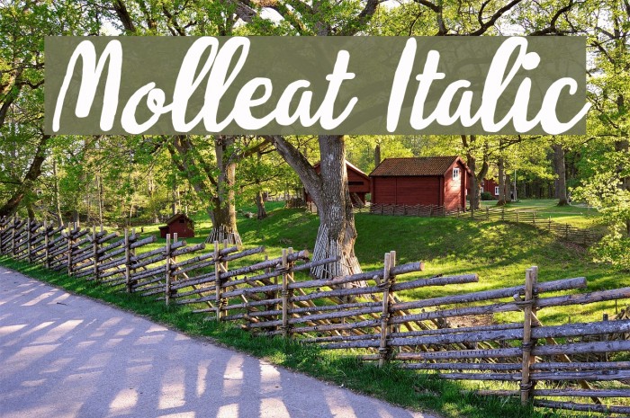 Molleat Italic Font examples