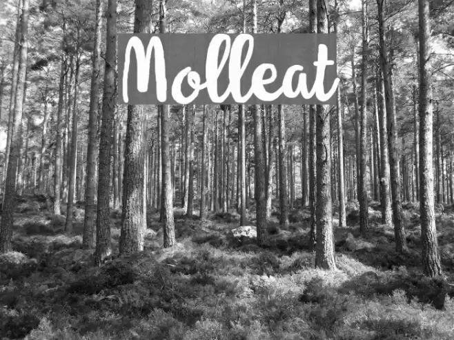 Molleat Font examples