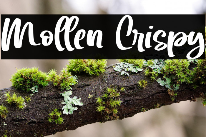 Mollen Crispy Example 1