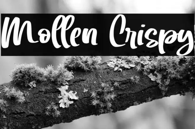 Mollen Crispy Example 1