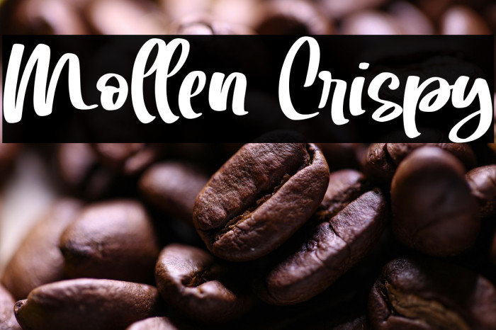 Mollen Crispy Example 3