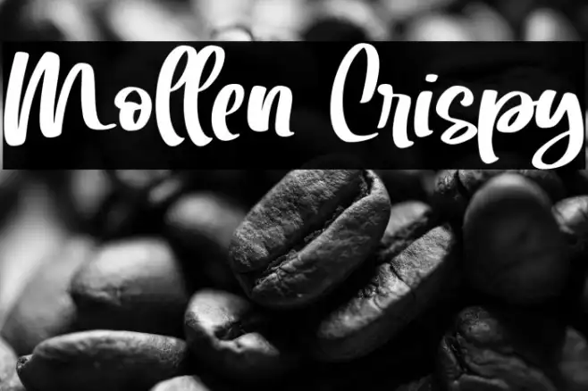Mollen Crispy Example 3
