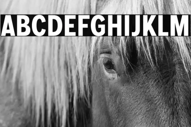 MollenPersonalUse-BoldCond Font examples