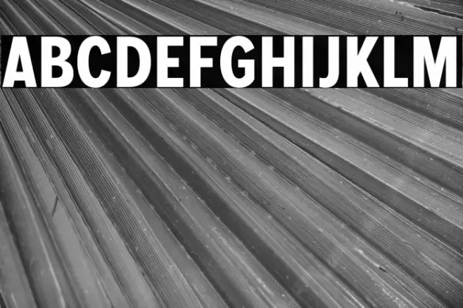 MollenPersonalUse-BoldCond Font examples