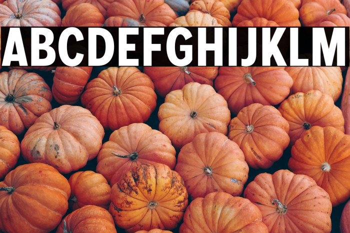 MollenPersonalUse-BoldCond Example 3