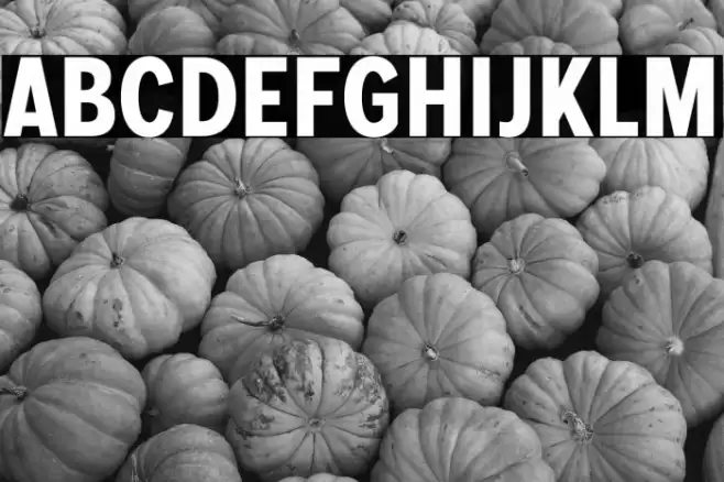 MollenPersonalUse-BoldCond Font examples